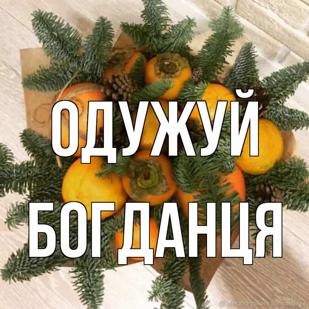 Открытка на каждый день з підписом, Богданця Одужуй апельсины и хурьма Прикольна листівка з побажанням онлайн скачати безкоштовно 