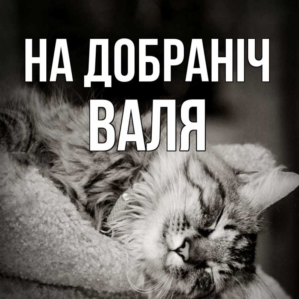 Открытка на каждый день з підписом, Валя На добраніч котярик пушистый Прикольна листівка з побажанням онлайн скачати безкоштовно 