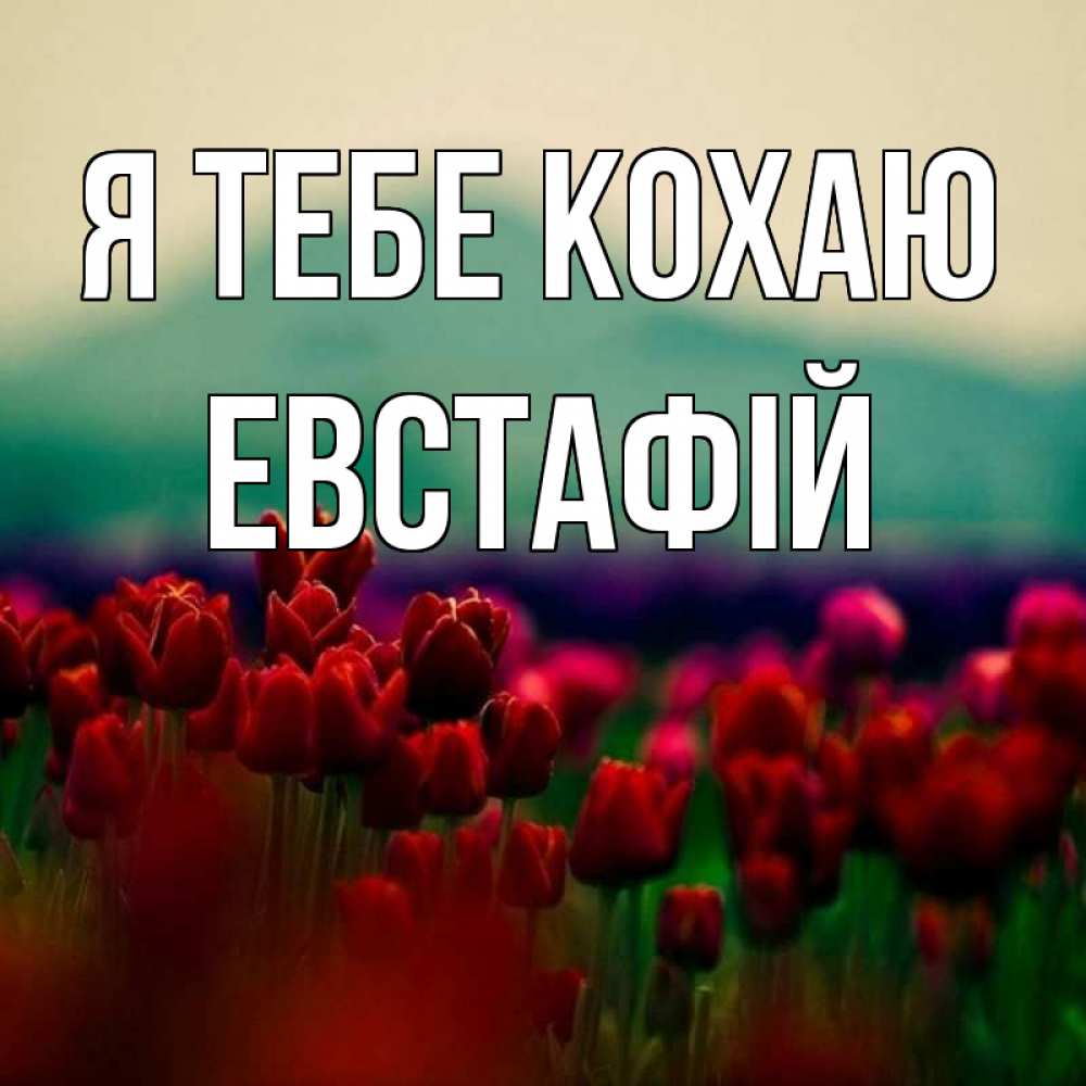 Открытка на каждый день з підписом, Евстафій Я тебе кохаю тюльпаны 4 Прикольна листівка з побажанням онлайн скачати безкоштовно 