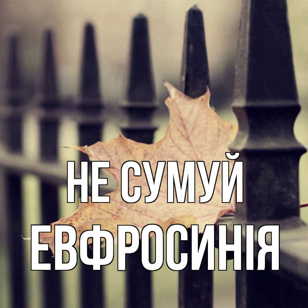 Открытка на каждый день з підписом, Евфросинія Не сумуй лист клена Прикольна листівка з побажанням онлайн скачати безкоштовно 