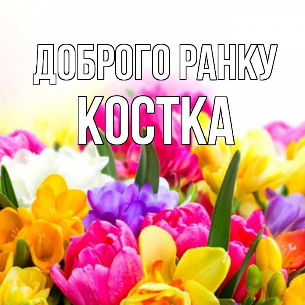 Открытка на каждый день з підписом, Костка Доброго ранку создать открытку со свое подписью Прикольна листівка з побажанням онлайн скачати безкоштовно 
