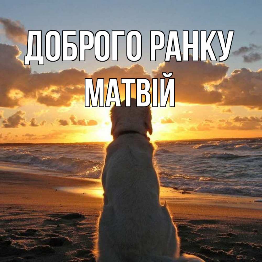 Открытка на каждый день з підписом, Матвій Доброго ранку восход солнца Прикольна листівка з побажанням онлайн скачати безкоштовно 