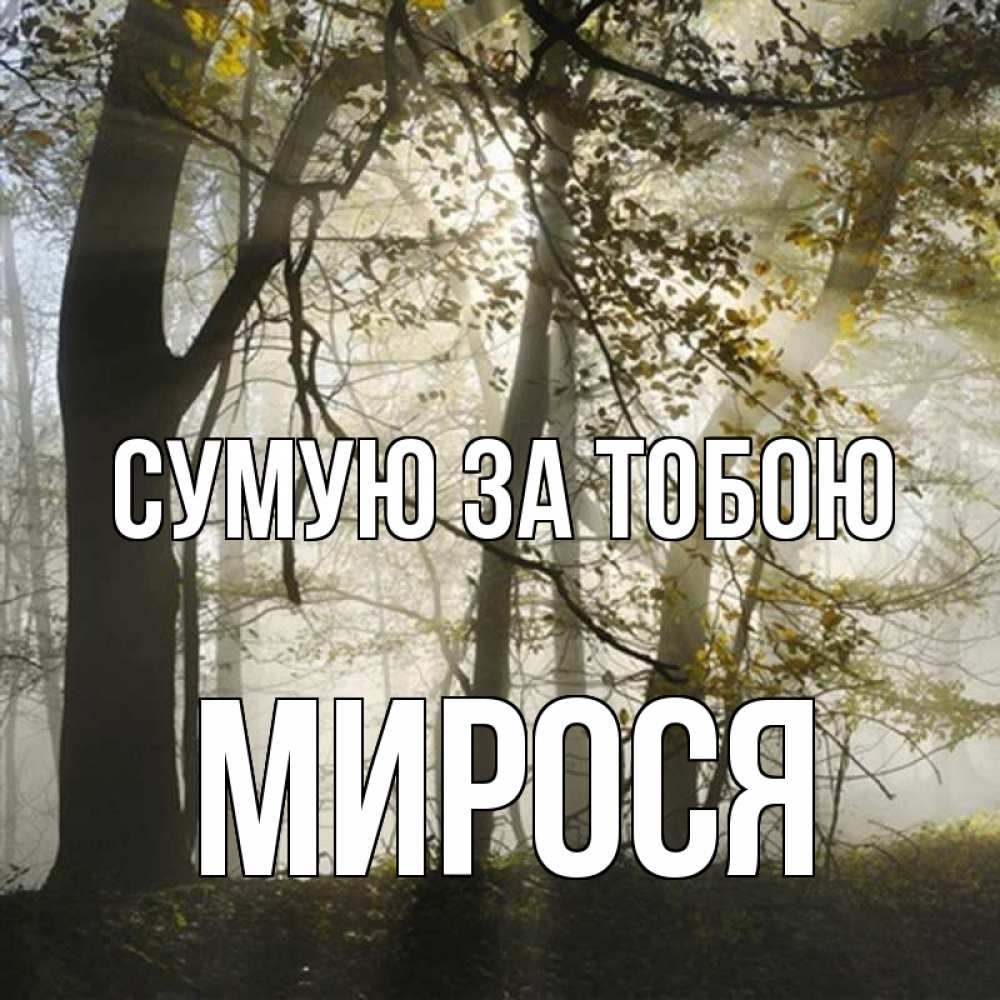 Открытка на каждый день з підписом, Мирося Сумую за тобою грустно Прикольна листівка з побажанням онлайн скачати безкоштовно 
