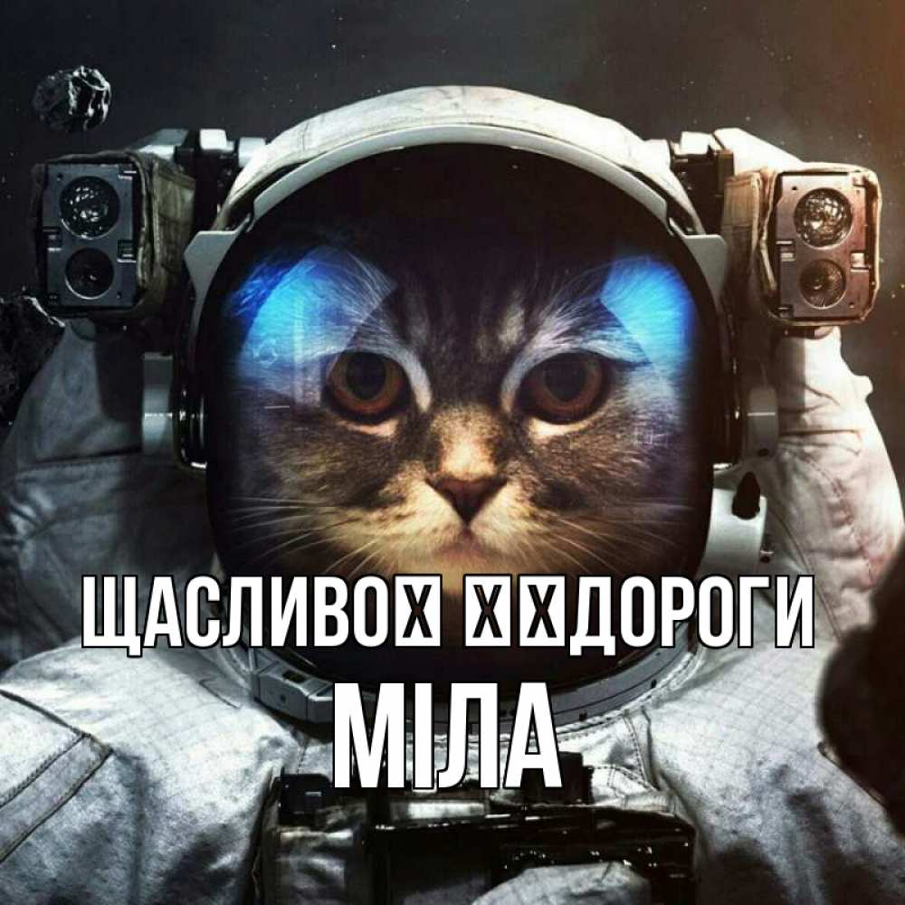 Открытка на каждый день з підписом, Міла Щасливої ​​дороги желает удачно добраться Прикольна листівка з побажанням онлайн скачати безкоштовно 