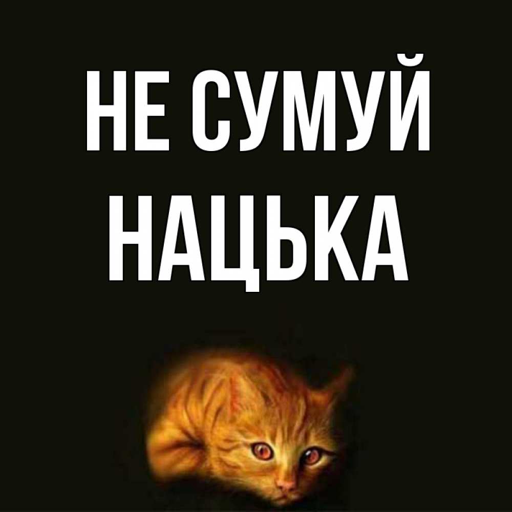 Открытка на каждый день з підписом, Нацька Не сумуй лежащий кот в темноте Прикольна листівка з побажанням онлайн скачати безкоштовно 