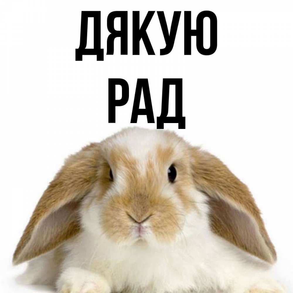 Открытка на каждый день з підписом, Рад Дякую коричнево белый заяц Прикольна листівка з побажанням онлайн скачати безкоштовно 