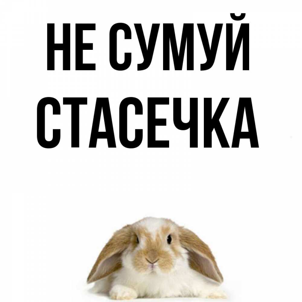Открытка на каждый день з підписом, Стасечка Не сумуй коричнево белый заяц с большими ушками Прикольна листівка з побажанням онлайн скачати безкоштовно 