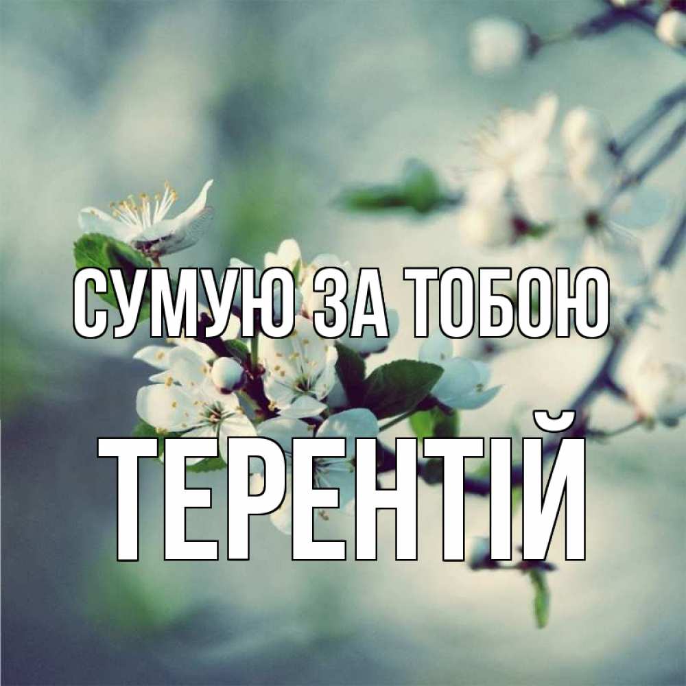 Открытка на каждый день з підписом, Терентій Сумую за тобою весна Прикольна листівка з побажанням онлайн скачати безкоштовно 