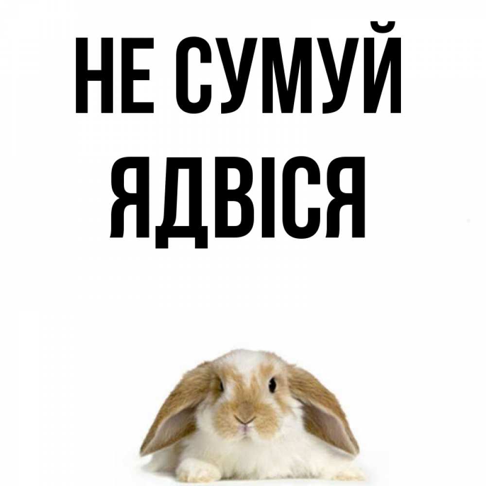 Открытка на каждый день з підписом, Ядвіся Не сумуй коричнево белый заяц с большими ушками Прикольна листівка з побажанням онлайн скачати безкоштовно 