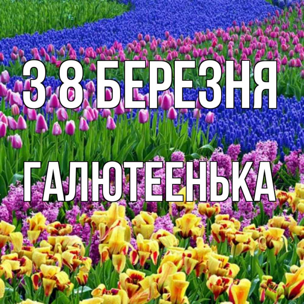 Открытка на каждый день з підписом, Галютеенька З 8 БЕРЕЗНЯ цветы Прикольна листівка з побажанням онлайн скачати безкоштовно 