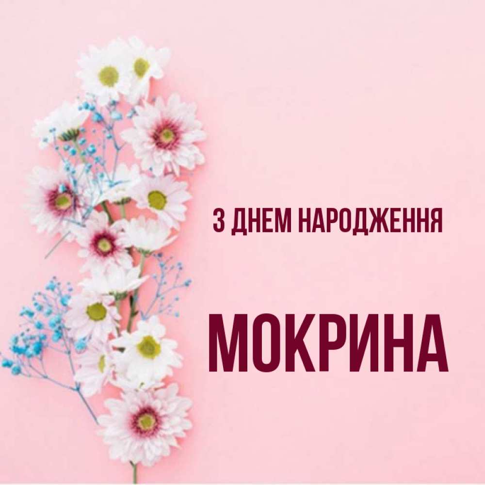 Открытка на каждый день з підписом, Мокрина З Днем народження Родная моя с днем рождения тебя картинка с цветами белыми и голубыми Прикольна листівка з побажанням онлайн скачати безкоштовно 
