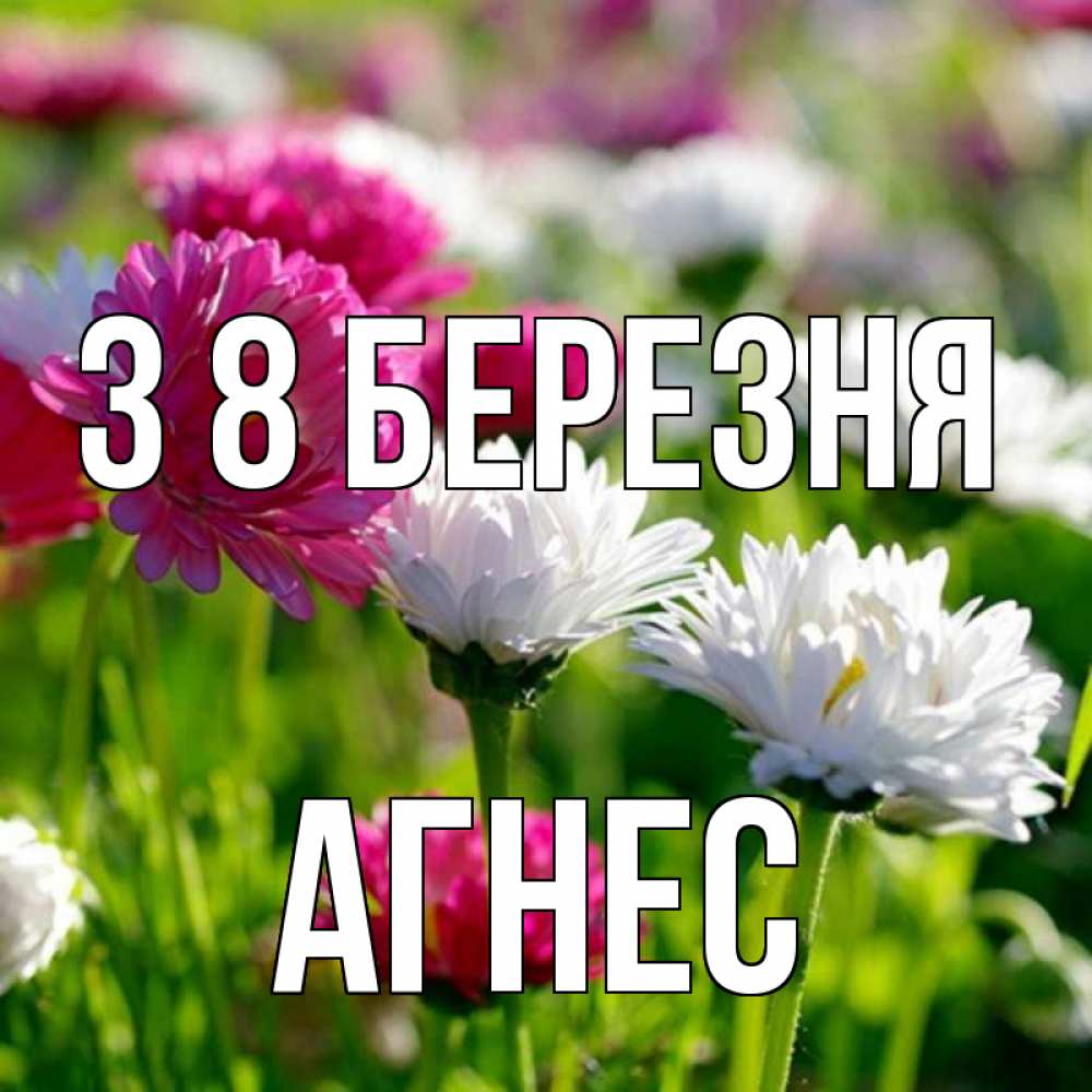 Открытка на каждый день з підписом, Агнес З 8 БЕРЕЗНЯ международный женский день 1 Прикольна листівка з побажанням онлайн скачати безкоштовно 
