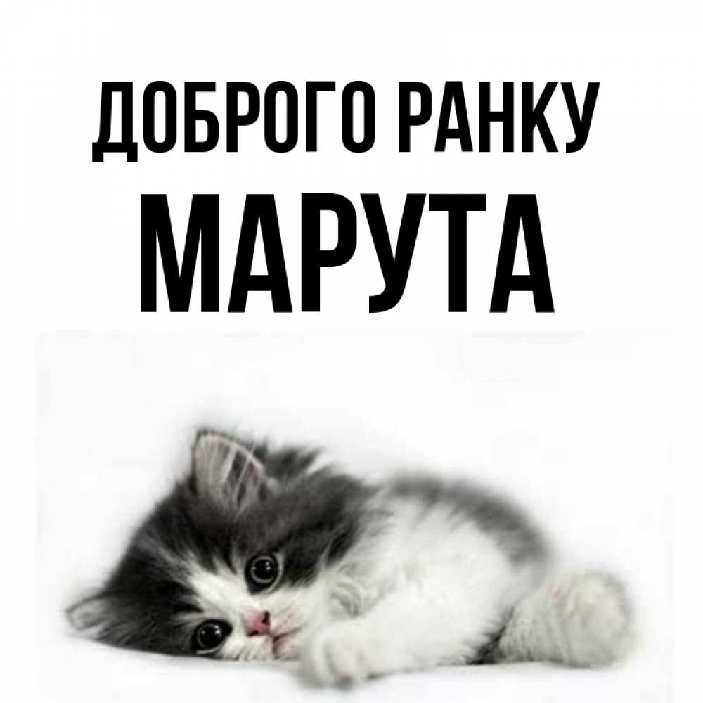Открытка на каждый день з підписом, Марута Доброго ранку кот лапки Прикольна листівка з побажанням онлайн скачати безкоштовно 