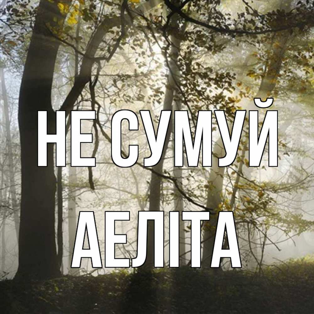 Открытка на каждый день з підписом, Аеліта Не сумуй лес и свет Прикольна листівка з побажанням онлайн скачати безкоштовно 