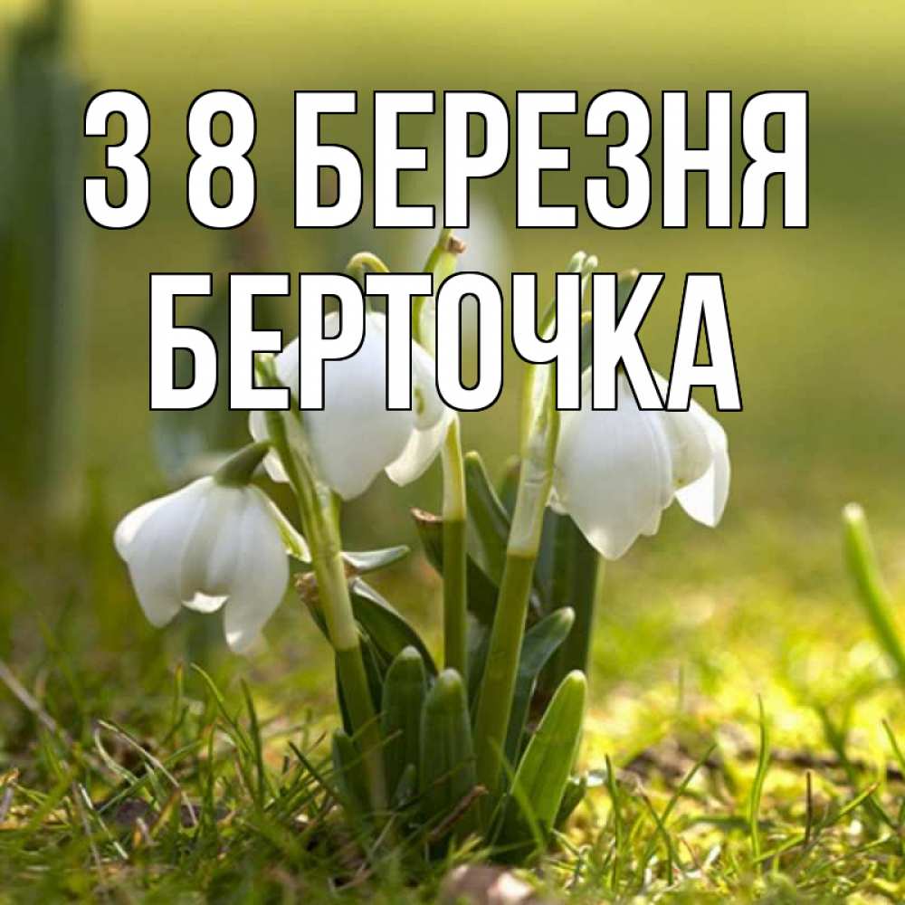 Открытка на каждый день з підписом, Берточка З 8 БЕРЕЗНЯ ранние цветы 2 Прикольна листівка з побажанням онлайн скачати безкоштовно 