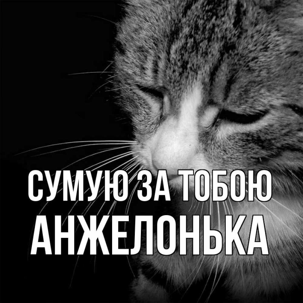 Открытка на каждый день з підписом, Анжелонька Сумую за тобою мне скучно Прикольна листівка з побажанням онлайн скачати безкоштовно 