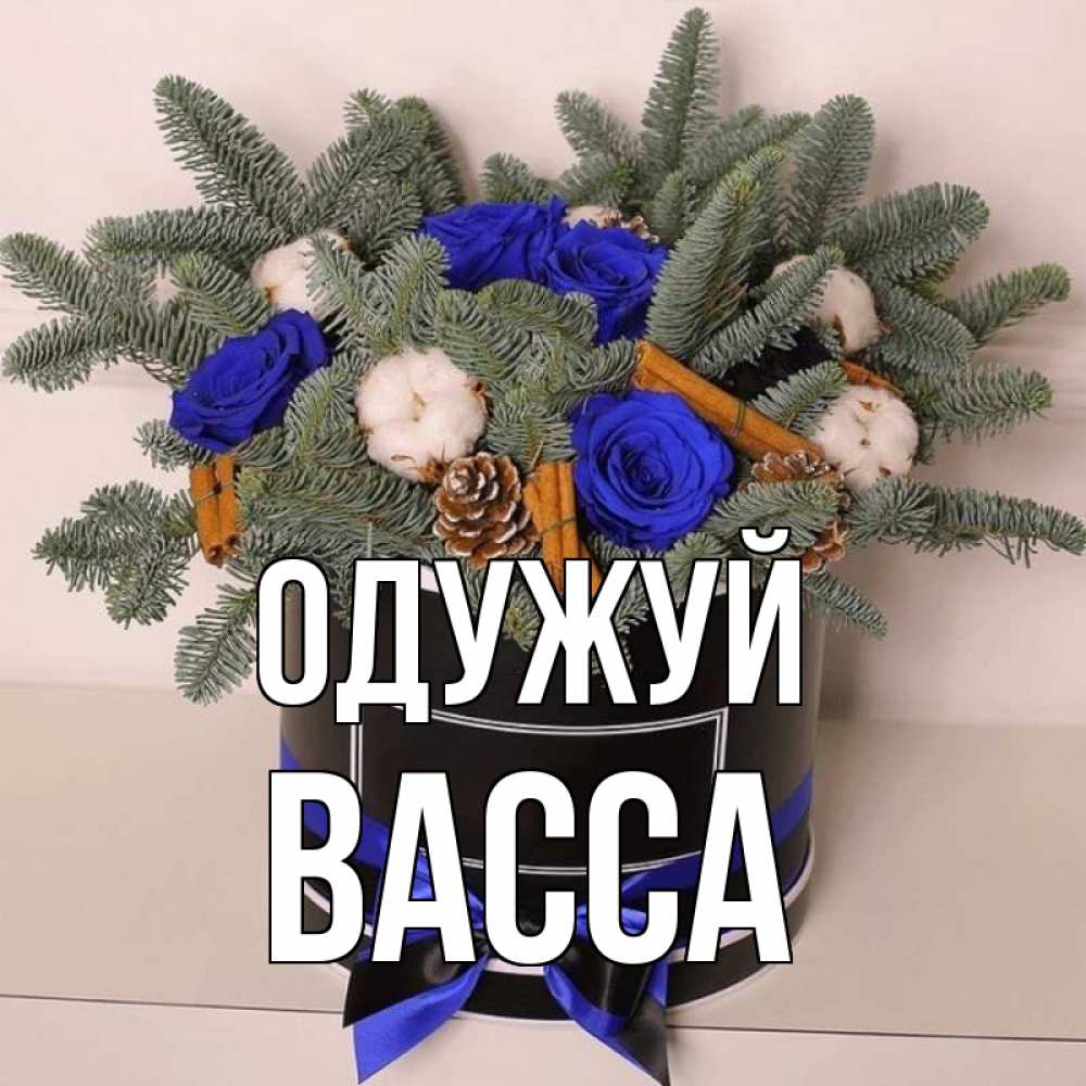 Открытка на каждый день з підписом, Васса Одужуй короче кто то загрузил эти шишки Прикольна листівка з побажанням онлайн скачати безкоштовно 