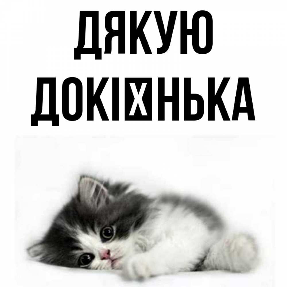 Открытка на каждый день з підписом, Докієнька Дякую черный и белый кот Прикольна листівка з побажанням онлайн скачати безкоштовно 