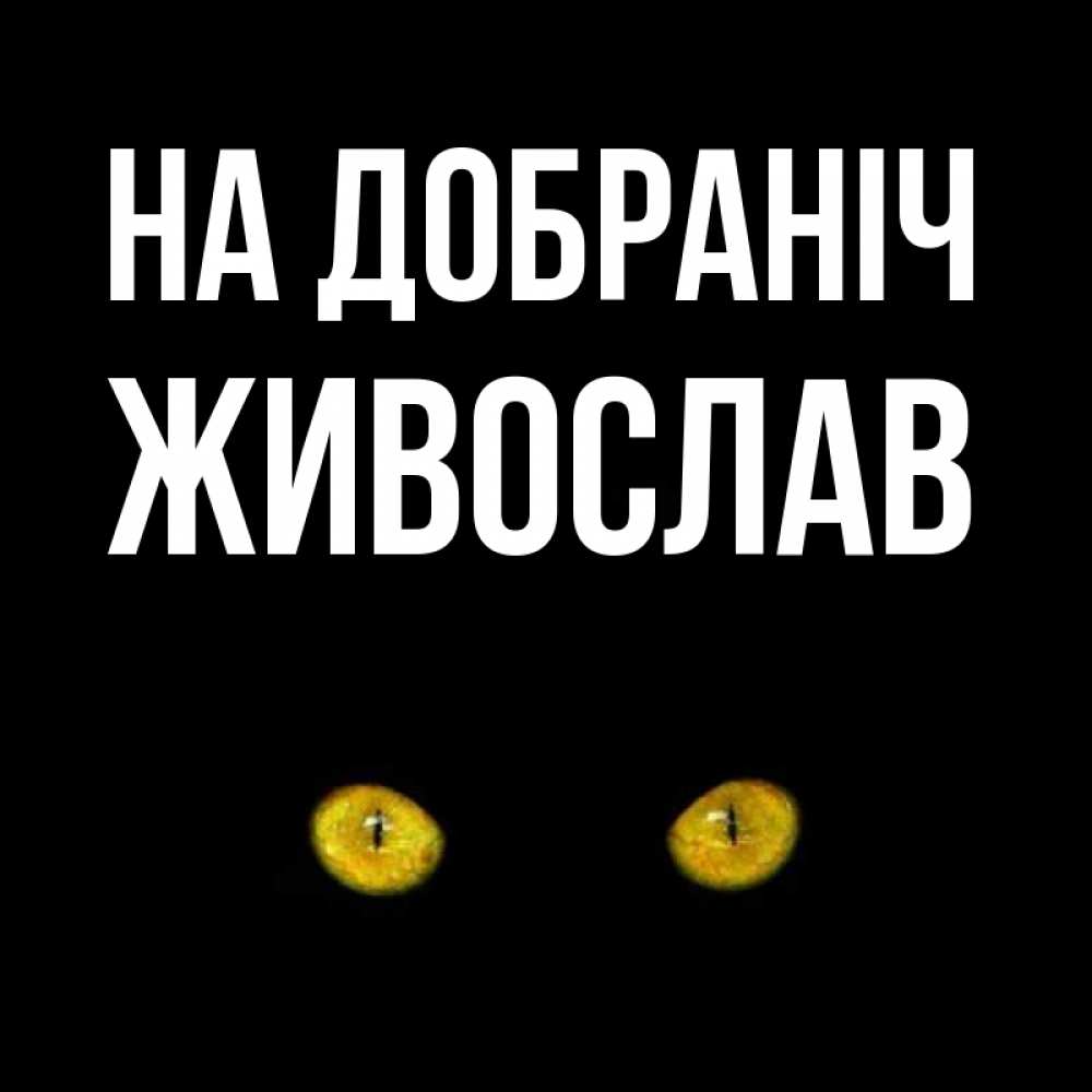 Открытка на каждый день з підписом, Живослав На добраніч сладких снов бесстрашный мой дружочек Прикольна листівка з побажанням онлайн скачати безкоштовно 