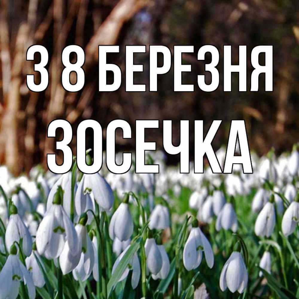 Открытка на каждый день з підписом, Зосечка З 8 БЕРЕЗНЯ с подснежниками 1 Прикольна листівка з побажанням онлайн скачати безкоштовно 