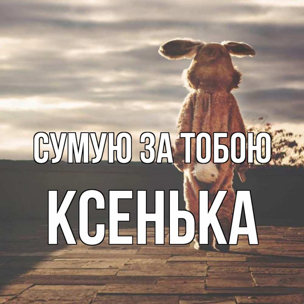 Открытка на каждый день з підписом, Ксенька Сумую за тобою даже в костюме зайца Прикольна листівка з побажанням онлайн скачати безкоштовно 