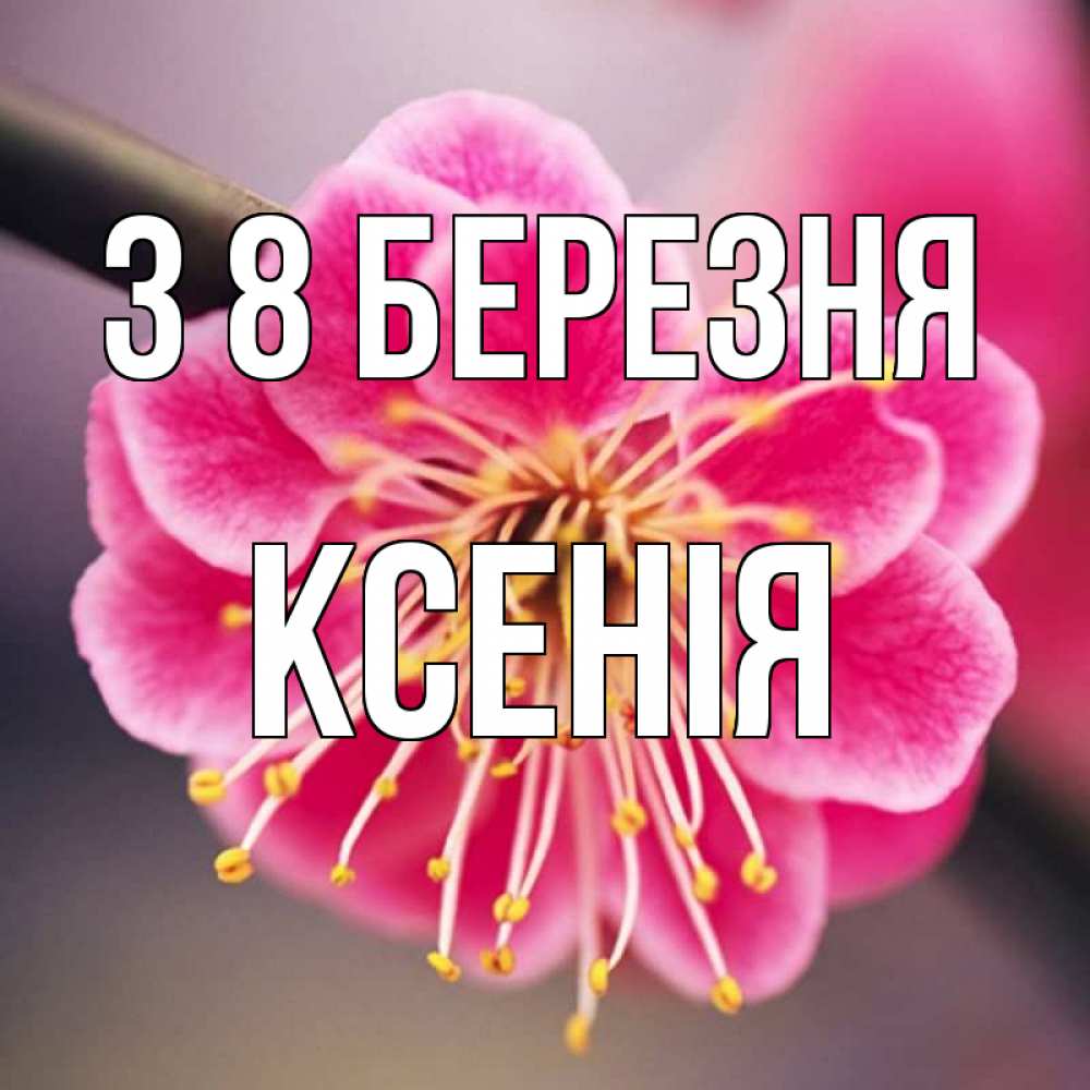 Открытка на каждый день з підписом, Ксенія З 8 БЕРЕЗНЯ цветы Прикольна листівка з побажанням онлайн скачати безкоштовно 