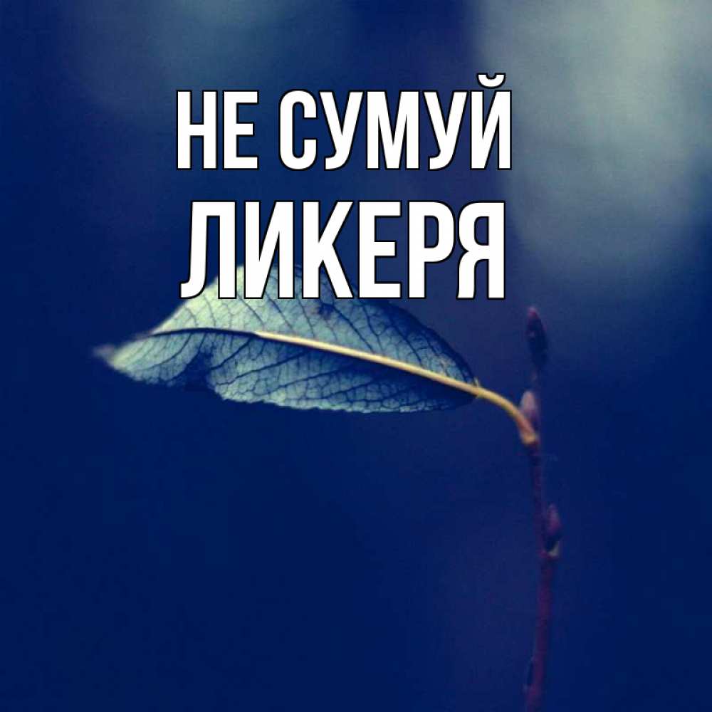Открытка на каждый день з підписом, Ликеря Не сумуй растение Прикольна листівка з побажанням онлайн скачати безкоштовно 