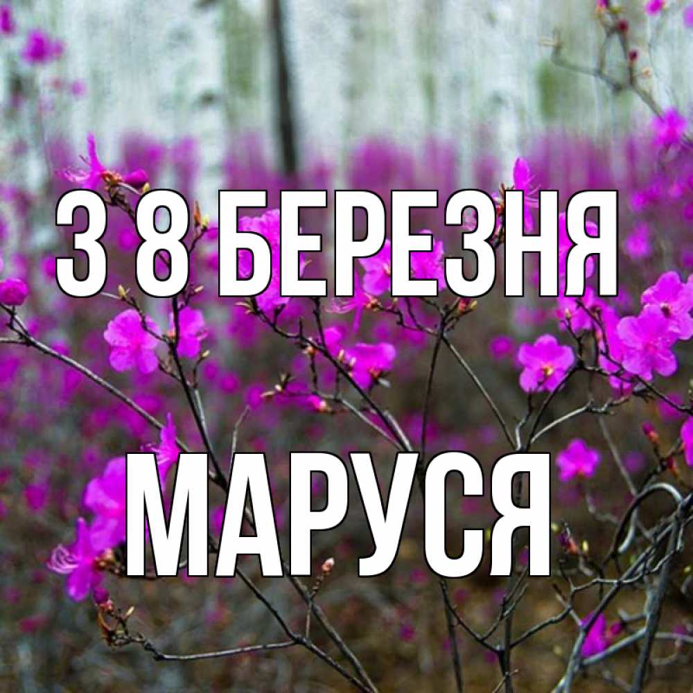 Открытка на каждый день з підписом, Маруся З 8 БЕРЕЗНЯ дикие цветы Прикольна листівка з побажанням онлайн скачати безкоштовно 