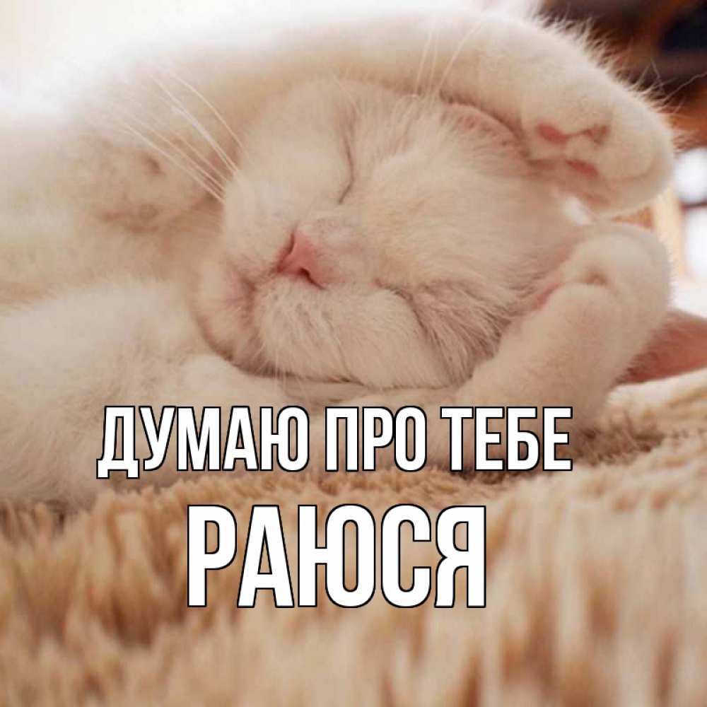 Открытка на каждый день з підписом, Раюся Думаю про тебе для любимой девушки милота Прикольна листівка з побажанням онлайн скачати безкоштовно 