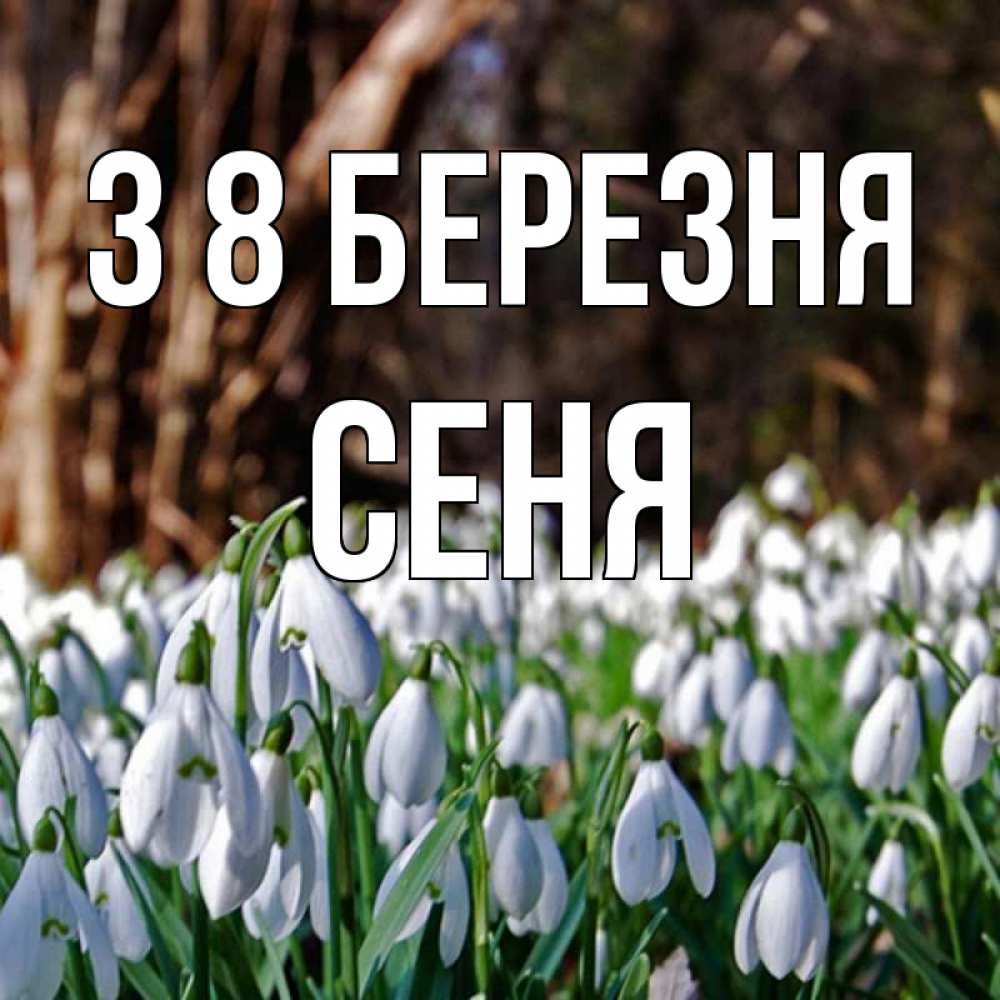 Открытка на каждый день з підписом, Сеня З 8 БЕРЕЗНЯ с подснежниками 1 Прикольна листівка з побажанням онлайн скачати безкоштовно 
