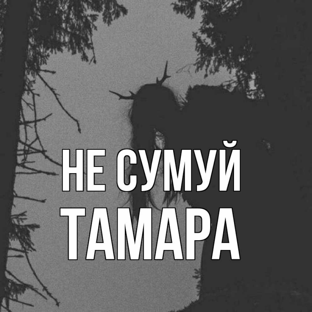 Открытка на каждый день з підписом, Тамара Не сумуй чудище лесное Прикольна листівка з побажанням онлайн скачати безкоштовно 