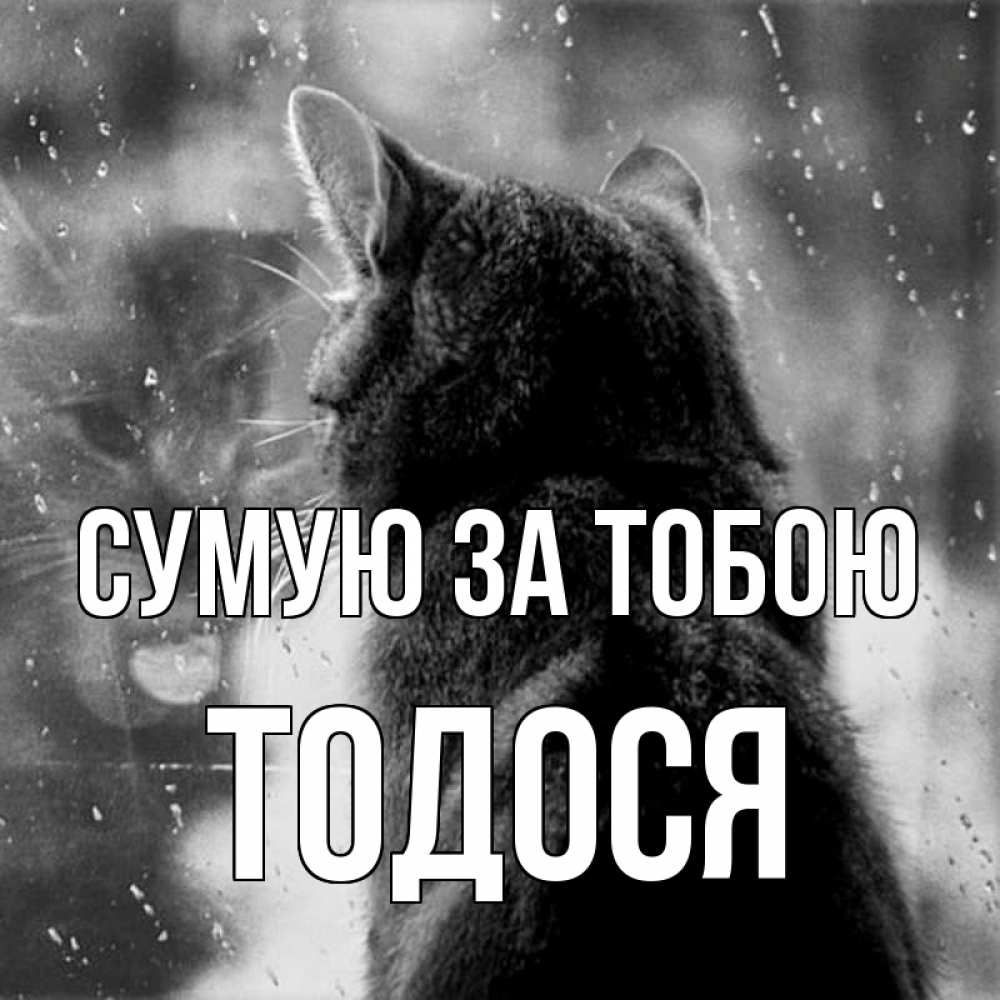 Открытка на каждый день з підписом, Тодося Сумую за тобою скорее ко мне приходи 1 Прикольна листівка з побажанням онлайн скачати безкоштовно 