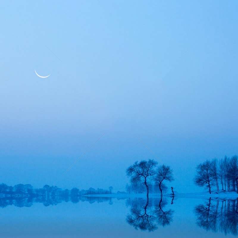 Открытка отражения деревьев в воде  весна  На добраніч 