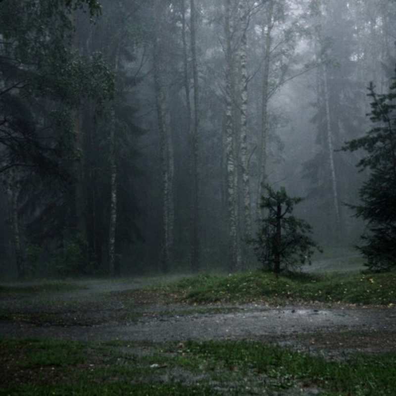 Открытка я как в лесу без тебя   одна и плохо мне  Сумую за тобою 