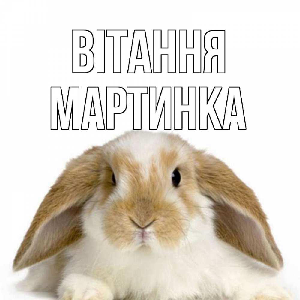 Открытка на каждый день з підписом, Мартинка Вітання с животными Прикольна листівка з побажанням онлайн скачати безкоштовно 