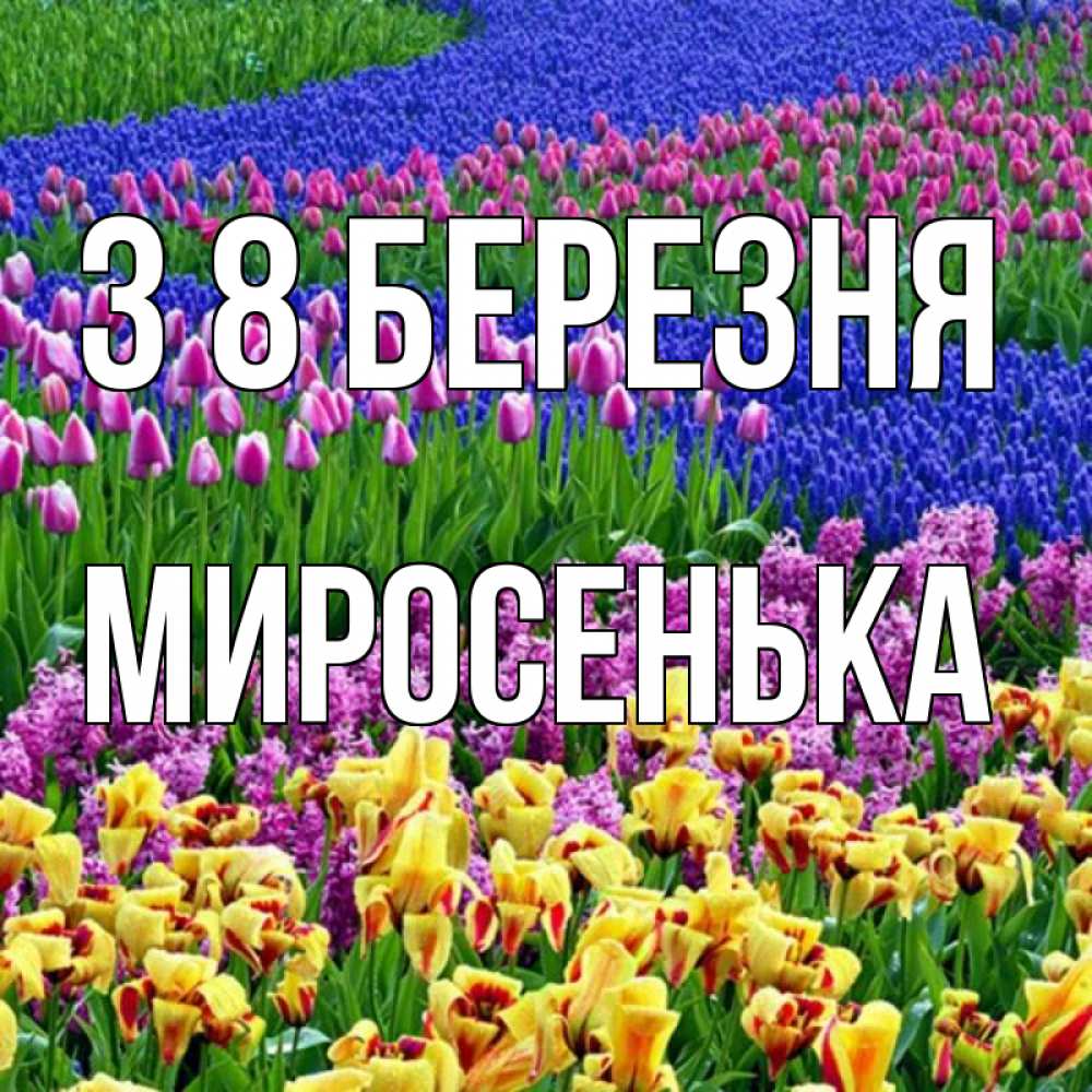 Открытка на каждый день з підписом, Миросенька З 8 БЕРЕЗНЯ цветы Прикольна листівка з побажанням онлайн скачати безкоштовно 