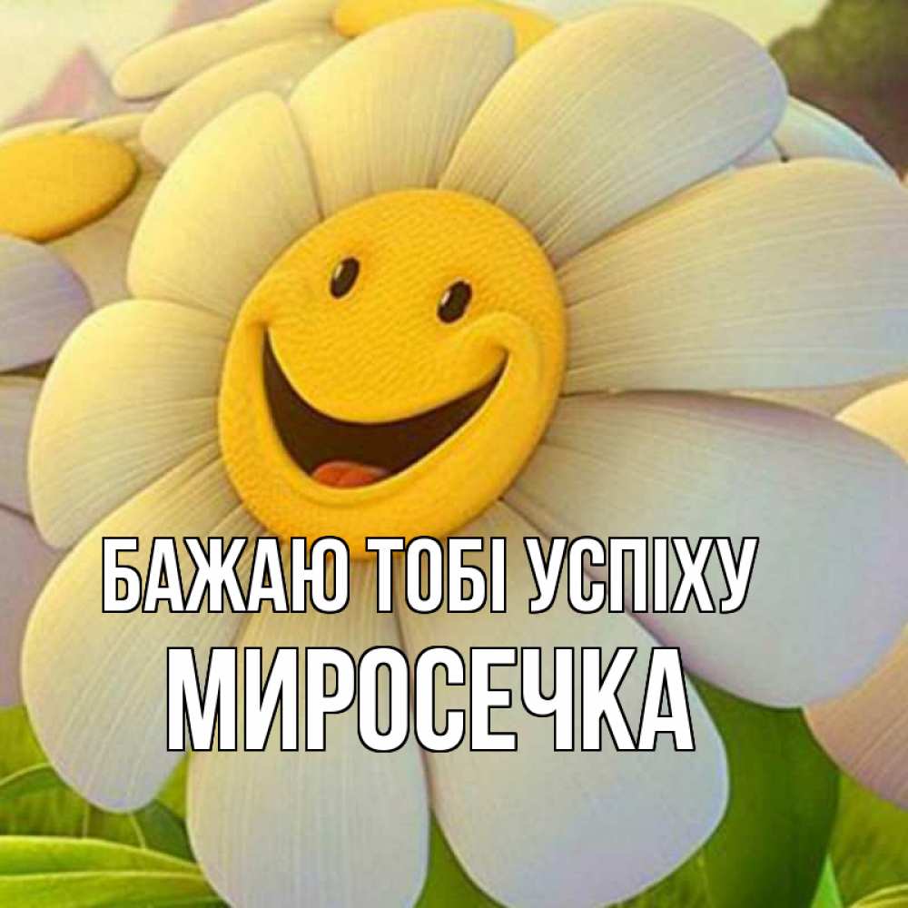 Открытка на каждый день з підписом, Миросечка Бажаю тобі успіху подписать открытку своим текстом Прикольна листівка з побажанням онлайн скачати безкоштовно 