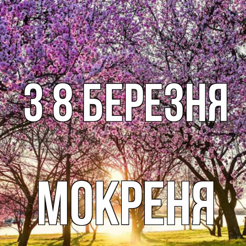 Открытка на каждый день з підписом, Мокреня З 8 БЕРЕЗНЯ международный женский день Прикольна листівка з побажанням онлайн скачати безкоштовно 
