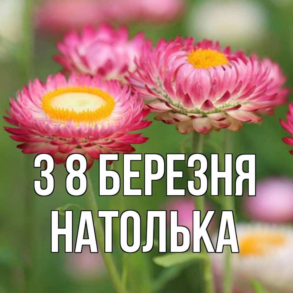 Открытка на каждый день з підписом, Натолька З 8 БЕРЕЗНЯ подарок на международный женский день Прикольна листівка з побажанням онлайн скачати безкоштовно 