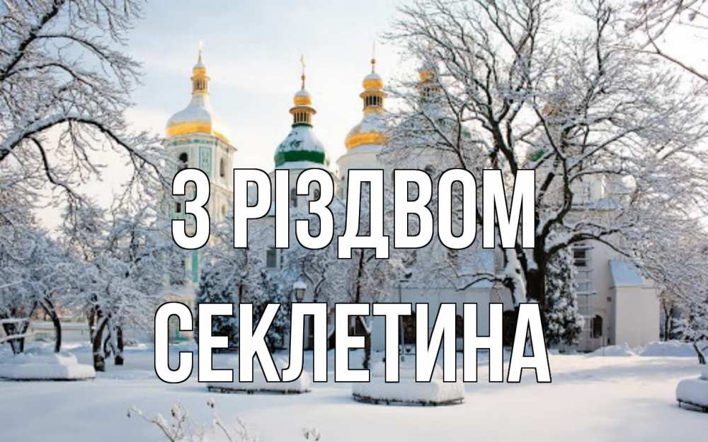 Открытка на каждый день з підписом, Секлетина З Різдвом зима, церковь Прикольна листівка з побажанням онлайн скачати безкоштовно 