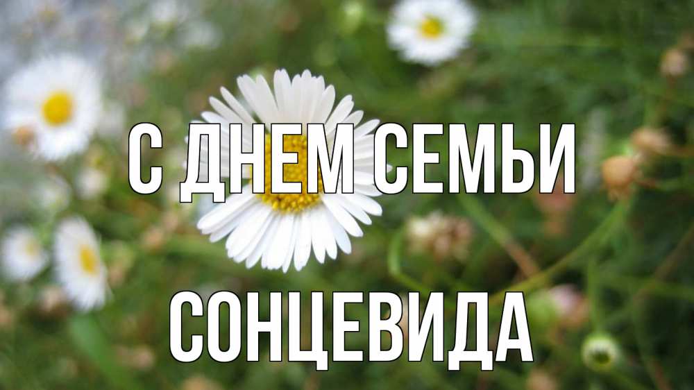 Открытка на каждый день з підписом, Сонцевида С днем семьи с днем семьи Прикольна листівка з побажанням онлайн скачати безкоштовно 