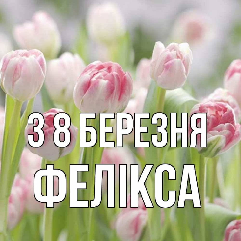 Открытка на каждый день з підписом, Фелікса З 8 БЕРЕЗНЯ цветы Прикольна листівка з побажанням онлайн скачати безкоштовно 