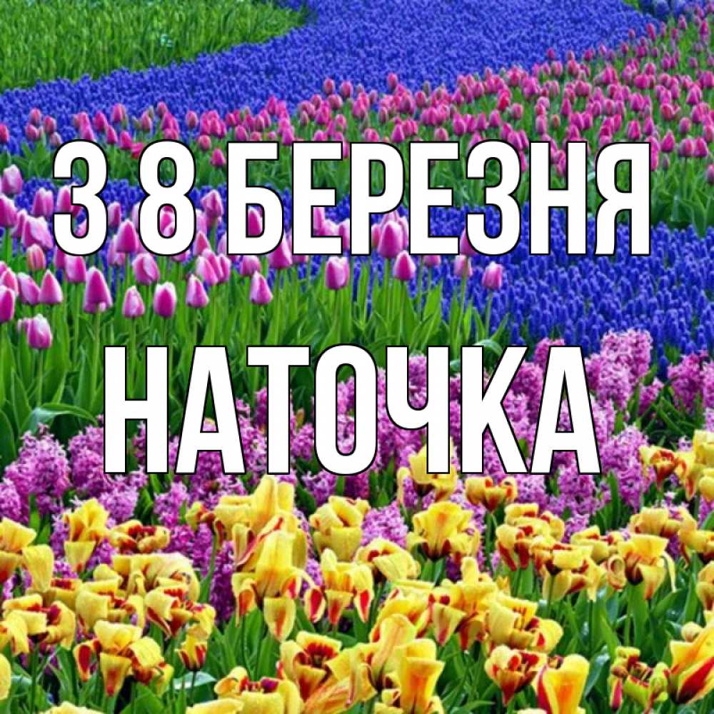 Открытка на каждый день з підписом, Наточка З 8 БЕРЕЗНЯ цветы Прикольна листівка з побажанням онлайн скачати безкоштовно 