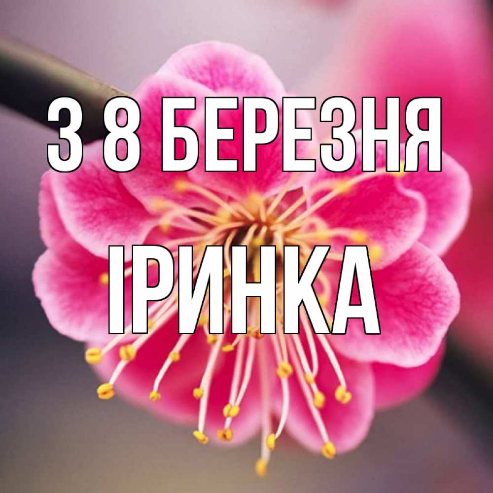 Открытка на каждый день з підписом, Іринка З 8 БЕРЕЗНЯ цветы Прикольна листівка з побажанням онлайн скачати безкоштовно 