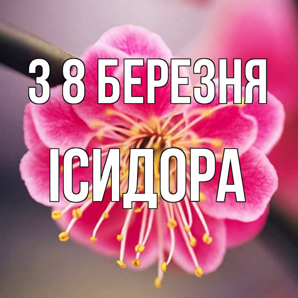 Открытка на каждый день з підписом, Ісидора З 8 БЕРЕЗНЯ цветы Прикольна листівка з побажанням онлайн скачати безкоштовно 