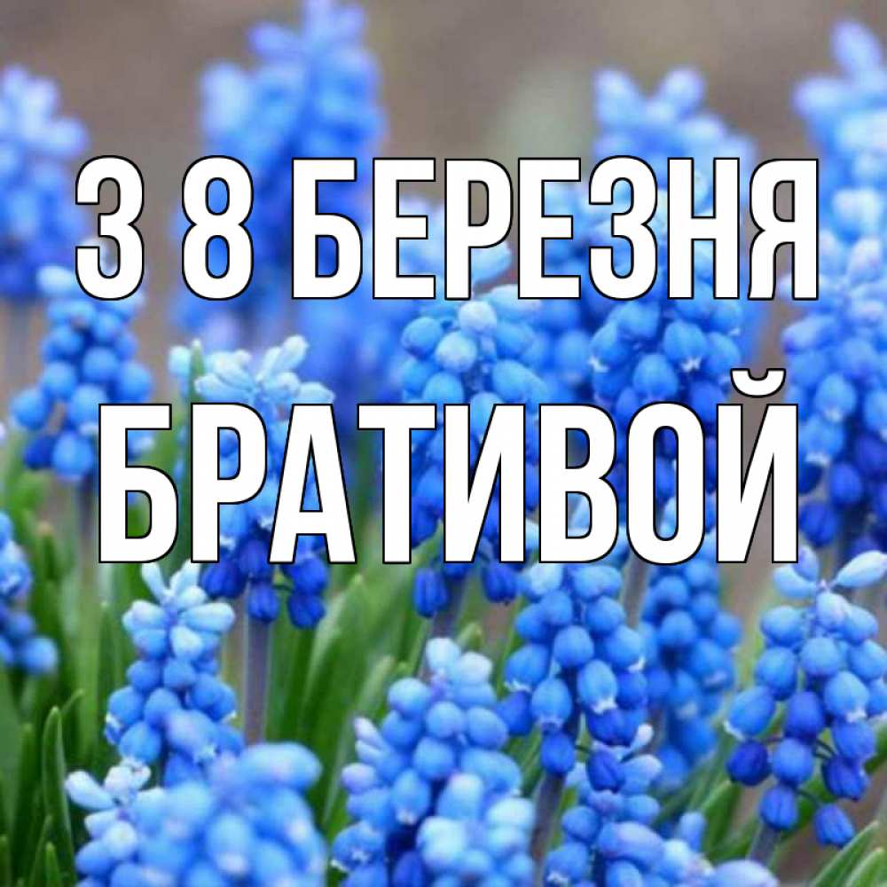Открытка на каждый день з підписом, Бративой З 8 БЕРЕЗНЯ Поздравительная открытка для женщин с цветами на праздничную дату Прикольна листівка з побажанням онлайн скачати безкоштовно 