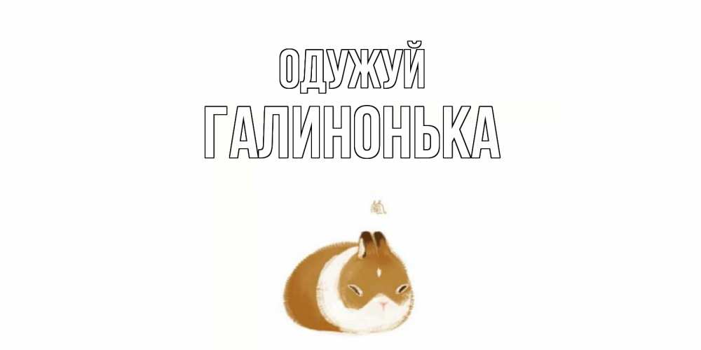 Открытка на каждый день з підписом, Галинонька Одужуй морская свинка на открытке с пожеланиями не болеть Прикольна листівка з побажанням онлайн скачати безкоштовно 