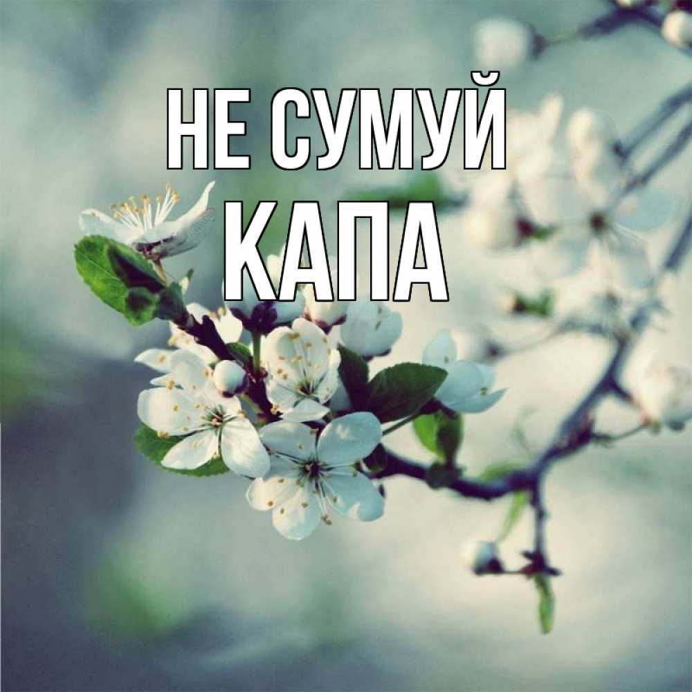 Открытка на каждый день з підписом, Капа Не сумуй яблоня в цвету 1 Прикольна листівка з побажанням онлайн скачати безкоштовно 