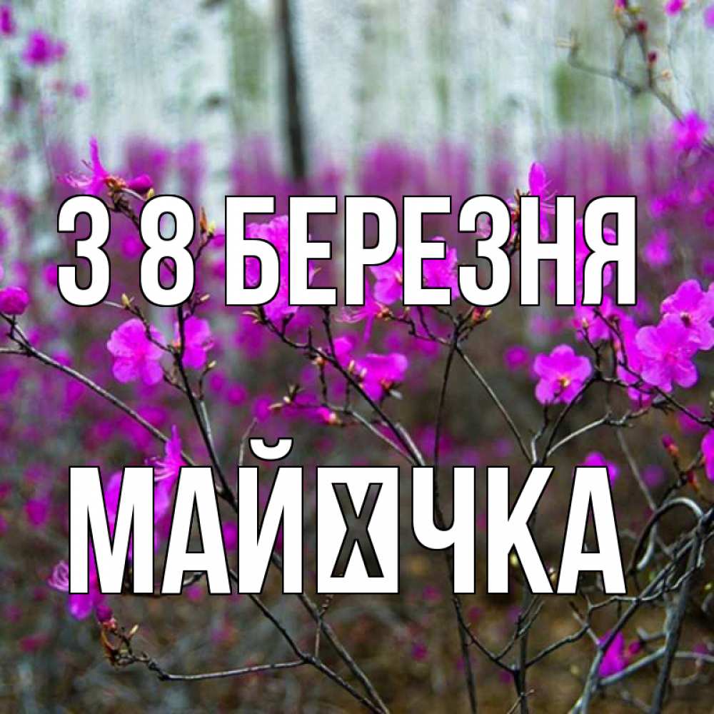 Открытка на каждый день з підписом, Майєчка З 8 БЕРЕЗНЯ дикие цветы Прикольна листівка з побажанням онлайн скачати безкоштовно 