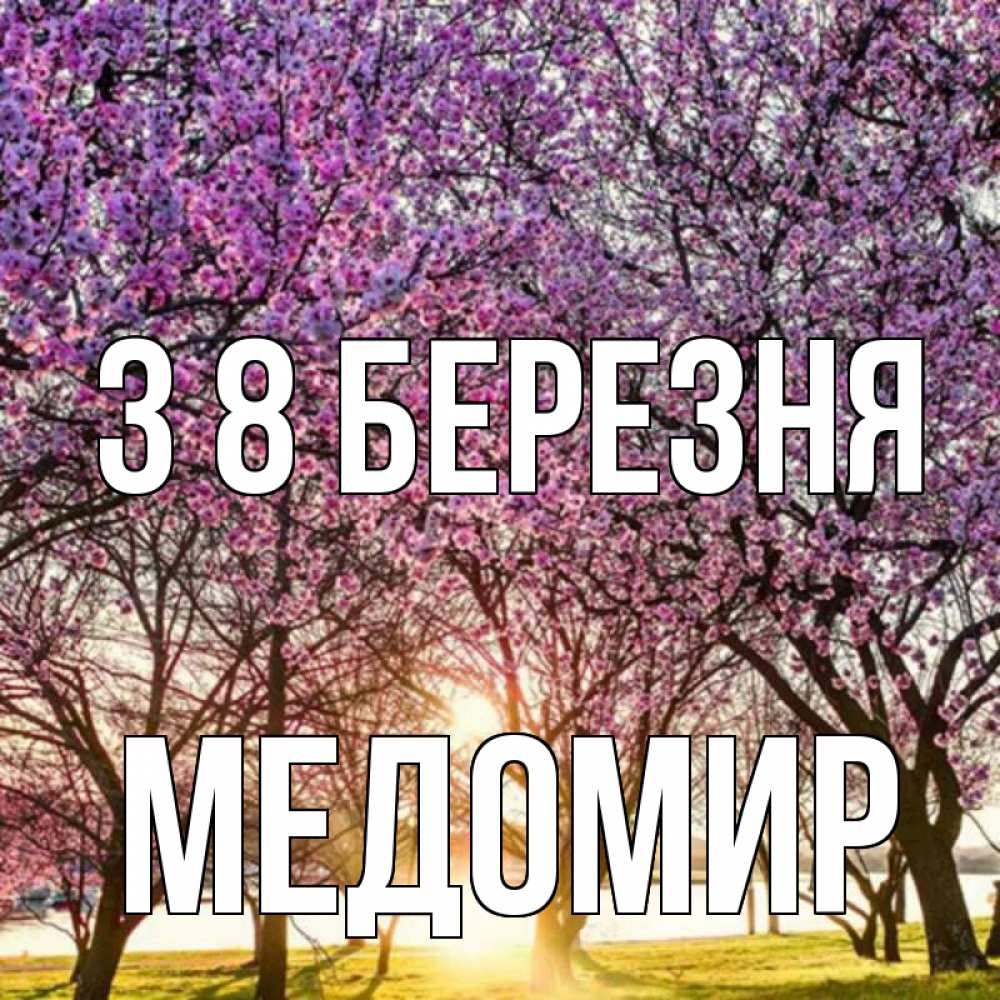 Открытка на каждый день з підписом, Медомир З 8 БЕРЕЗНЯ международный женский день Прикольна листівка з побажанням онлайн скачати безкоштовно 